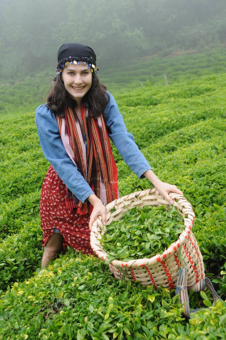Çay ve fındık projelerine akademik destek