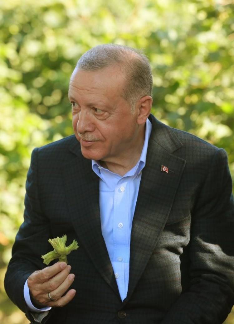 Fındık 84 lira, ilave prim 1 lira 65 kuruş  Cumhurbaşkanı Recep Tayyip Erdoğan, Kabine Toplantısı’nın ardından açıklamalarda bulundu.
