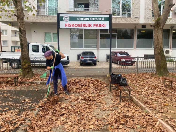 Giresun Belediyesi sonbahar çalışmalarına başladı  Şehir genelinde sonbahar temizliği